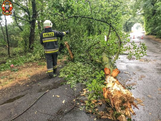 Strażacy podsumowali straty po wichurze w powiecie oleśnickim