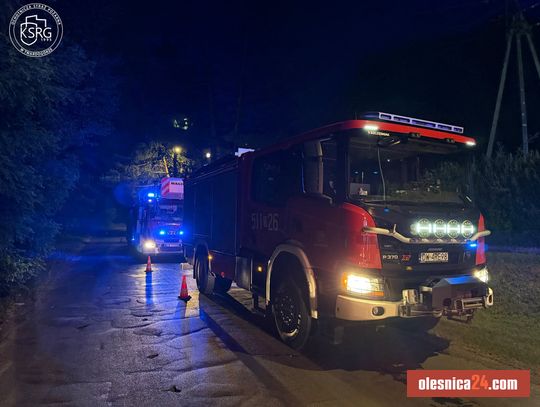 Strażacy walczyli z zadymieniem w domu jednorodzinnym