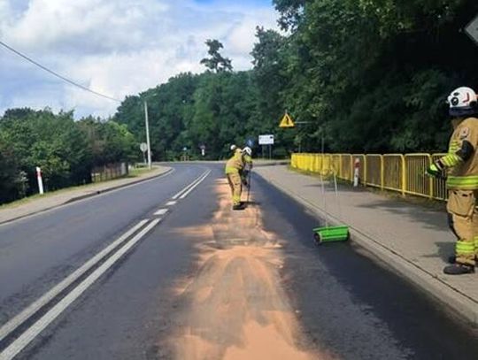 Substancja ropopochodna na ul. Twardogórskiej w Goszczu. Interweniowali strażacy