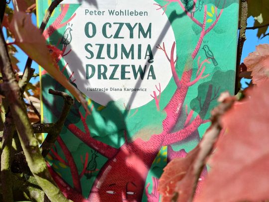 Światowy Dzień Drzewa