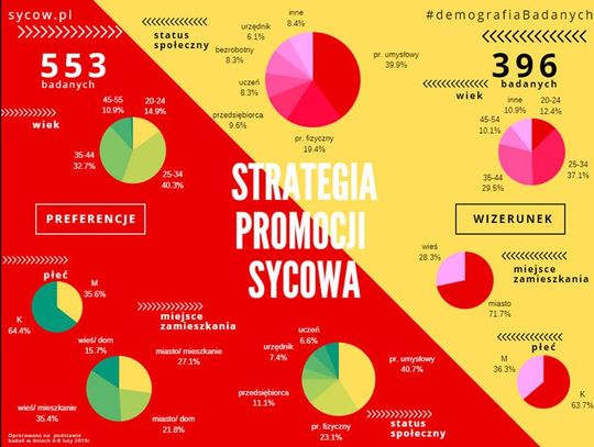 Syców bada i tworzy strategię