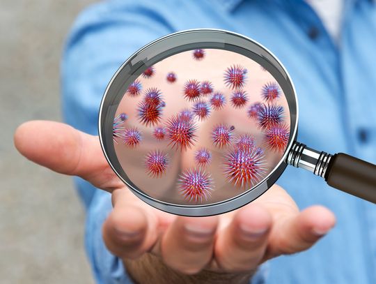 Sytuacja epidemiczna w powiecie oleśnickim - stan na 9 września