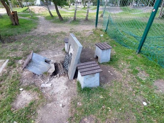 Szachowy wandal w rękach policji