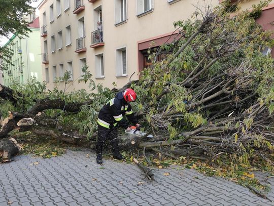 Tak z wichurą w powiecie oleśnickim walczyli strażacy