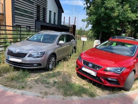 Tak zniszczyli łąkę kwietną w Oleśnicy