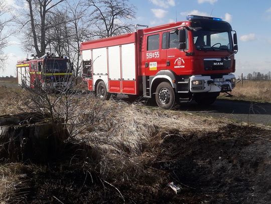 Trawy zaczynają płonąć...
