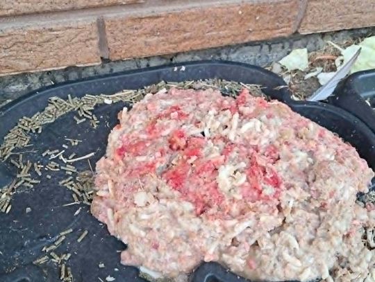 Trucizna w karmniku dla królików w Oleśnicy? Mieszkańcy alarmują
