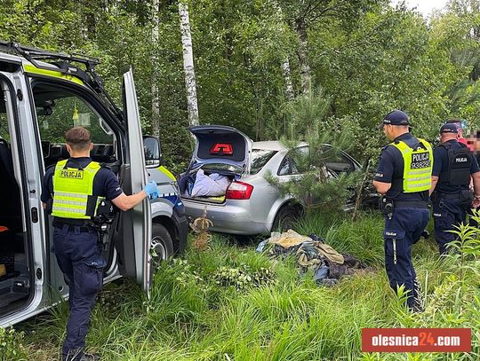 Uciekał przed policją i skończył na drzewie! 36-latek miał przy sobie narkotyki i jechał bez prawa jazdy