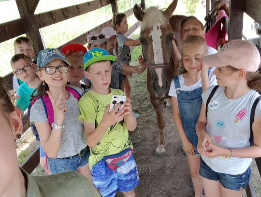 Uczniowie z SP w Ligocie Polskiej uratowali konia