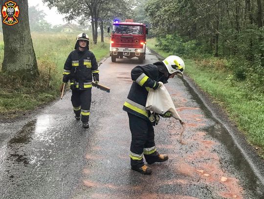 Usuwali zagrożenie na drodze