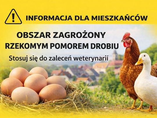Uwaga, mieszkańcy Domasławic – tablica „Obszar zagrożony rzekomy pomór drobiu”. Co to oznacza?