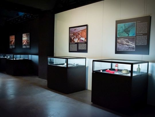 W cieniu gigantów – nowa wystawa czasowa w Hydropolis