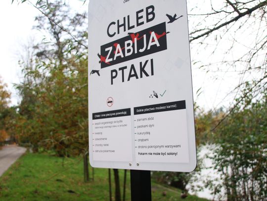 W Parku Nad Stawami w Oleśnicy zostały umieszczone informacyjne tabliczki o dokarmianiu ptactwa