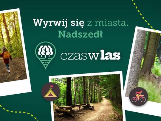 W rajd na orientację włączają się leśnicy
