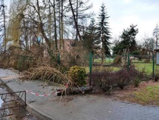 Wichura dokonała zniszczeń w gminie Syców