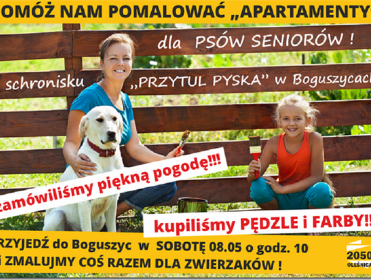 Więc chodź, pomaluj... przytulisko