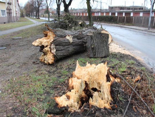 Wieje tak, że aż chce głowę urwać! [AKTUALIZACJA]
