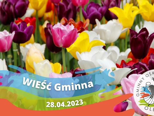 Wieść Gminna niesie, że sprzątamy sołectwa (WIDEO)