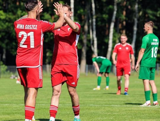 Wiwa Goszcz zaczęła ligowy sezon