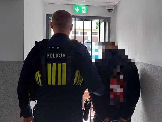 Wpadli z narkotykami podczas kontroli drogowej 