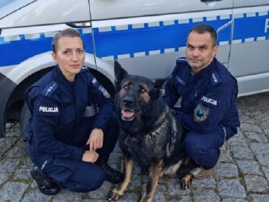 Wracali ze szkolenia, interweniowali przy wypadku