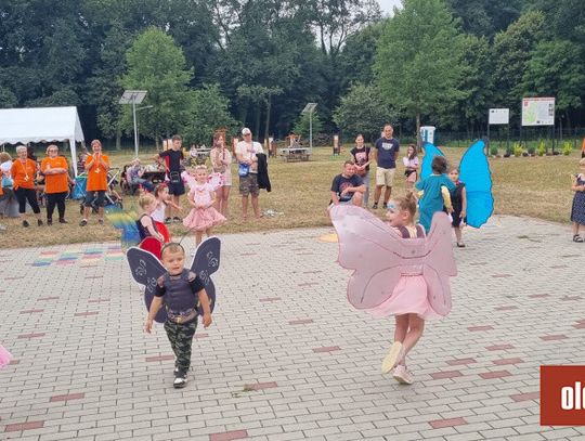 Wśród motyli na pikniku