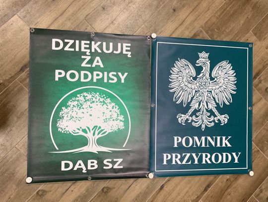 Wylicytuj plakaty z akcji ratowania Dębu Jegrów