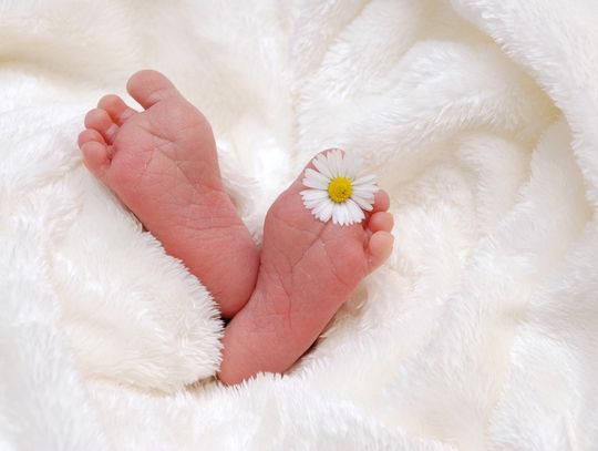 Wzrośnie liczba aborcji po orzeczeniu Trybunału Konstytucyjnego?