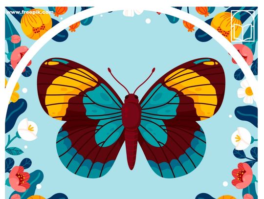 Obejrzyj "Motyle. Zatrzymane w locie"