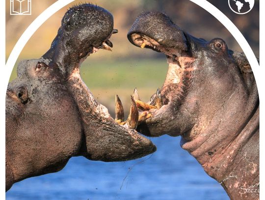 Z Biblioteką przez Świat - Robert Gondek "Namibia, Botswana - pustynia, przyroda, przestrzeń"