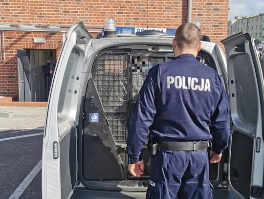 Z nożem w ręku groził, że zabije jej psa