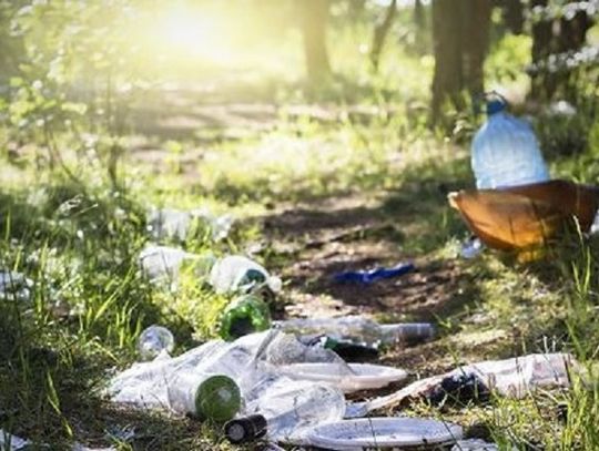 Za zaśmiecanie lasu grozi wysoki mandat