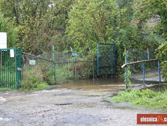 Zalana droga, zalane działki