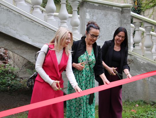 Zamek w Dobroszycach pokazał nowy projekt