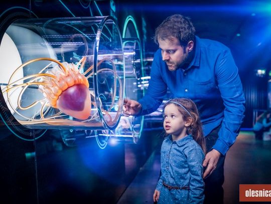 Zanurz się w morskie głębiny w Hydropolis