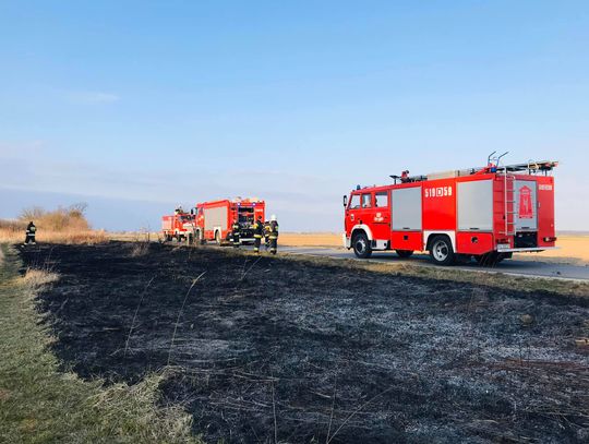 Zaprzestańcie podpalać trawy i nieużytki!