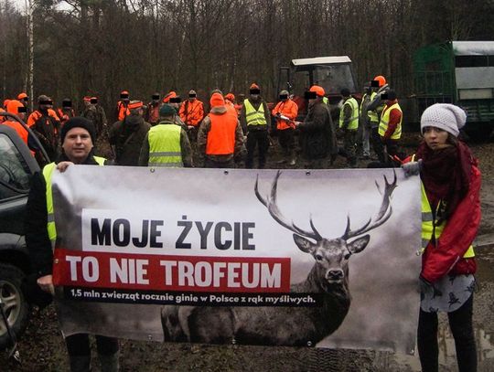 Zatrzymali polowanie myśliwych z Oleśnicy