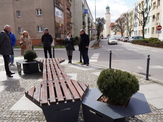 Zazieleniła się ulica Matejki w Oleśnicy