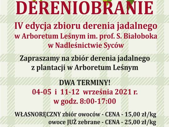 Zbierz derenie