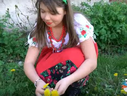 Zdrowie z Liścia – mniszek i melisa (WIDEO)