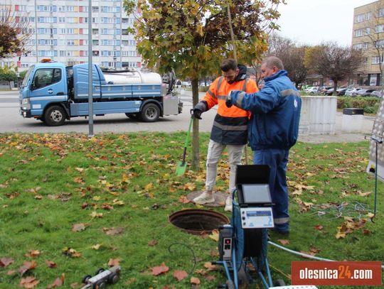 Zlokalizowano przyczynę zalewania piwnic w Oleśnicy