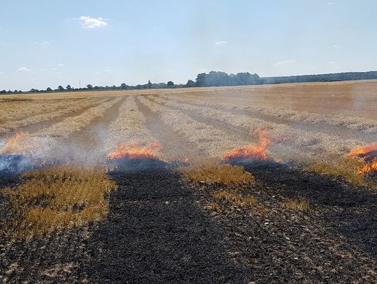 Znowu pożar w powiecie oleśnickim