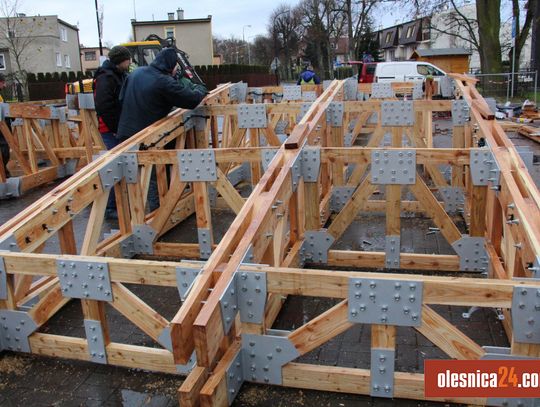 Żuraw na stawach w Oleśnicy