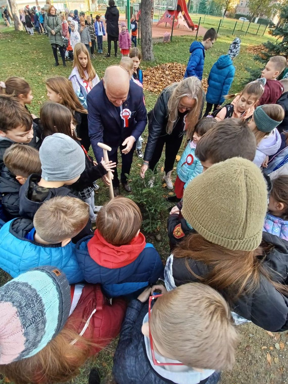 W Narodowe Święto Niepodległości sadzili drzewa