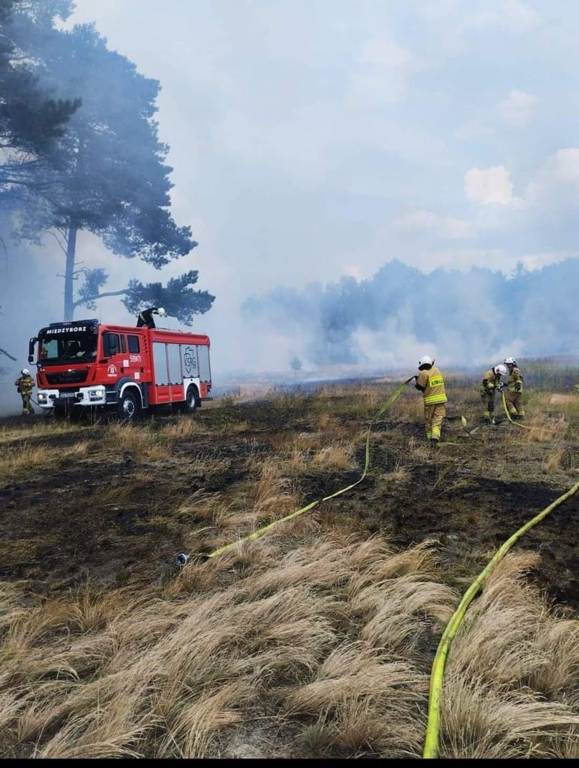 Pożar lasu i powalone drzewo. Działała OSP Międzybórz