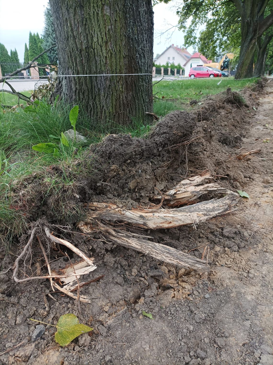 Sprawa nadaje się do zgłoszenia w prokuraturze