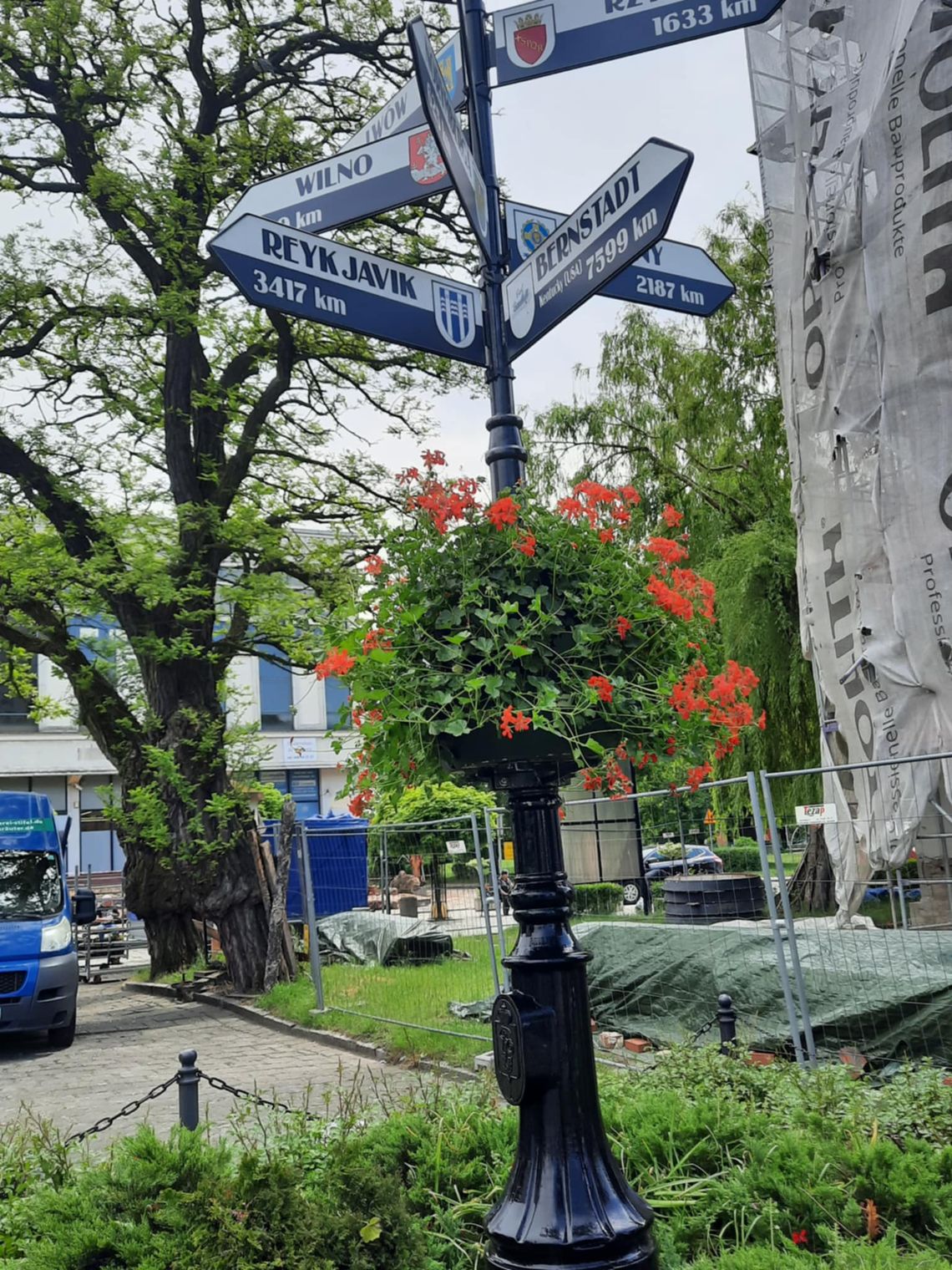 W Bierutowie sadzą kwiaty