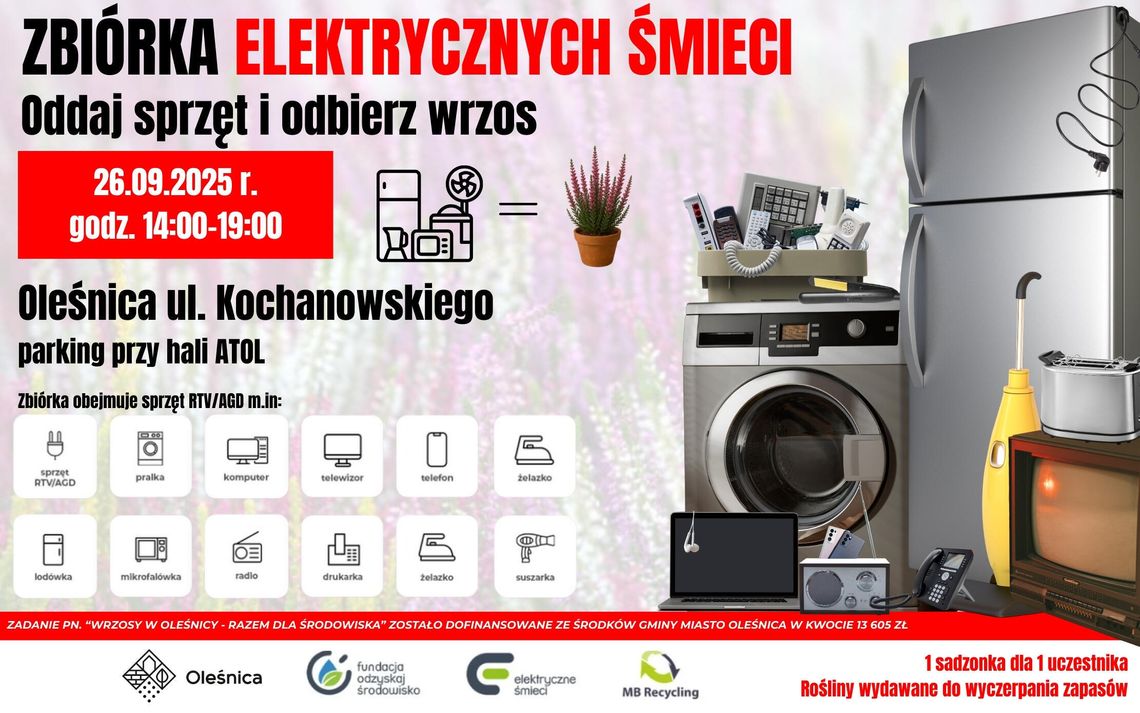 Oddaj stary telewizor, zużytą pralkę, zepsutą lokówkę i odbierz wrzos