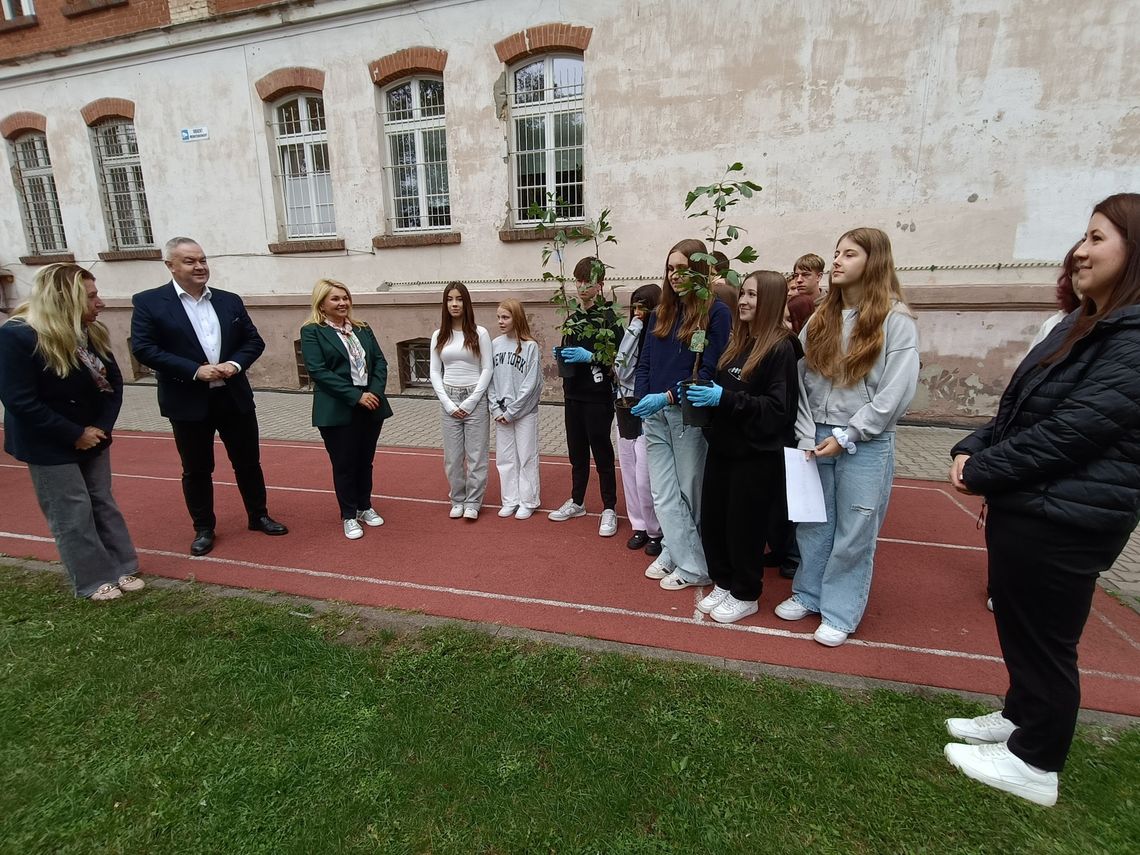 Sadzili drzewa. Burmistrz też pomógł