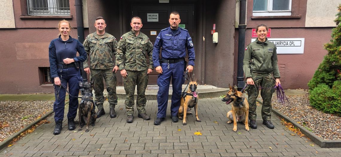Szkolenie z udziałem psów służbowych Żandarmerii Wojskowej oraz Policji Szkolenie z udziałem psów służbowych Żandarmerii Wojskowej oraz Policji